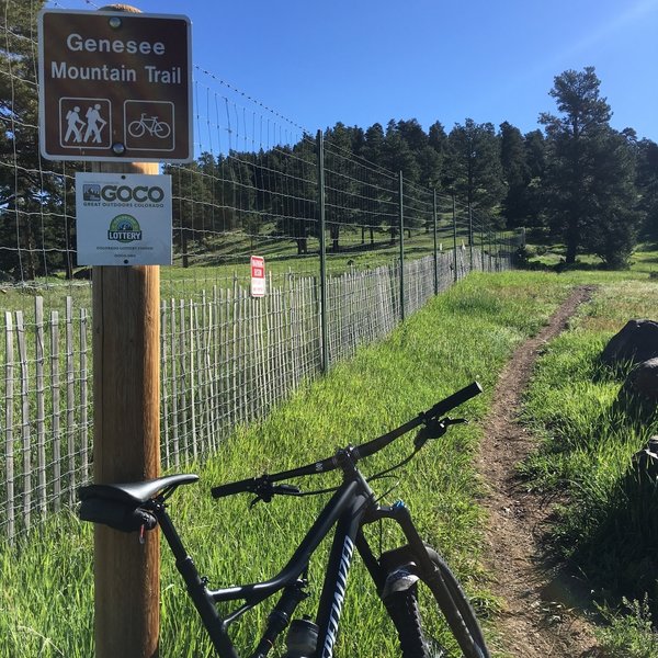 Genesee Mountain Singletrack