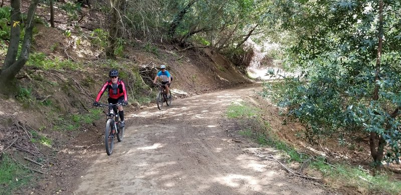 Descending Dutra Loop