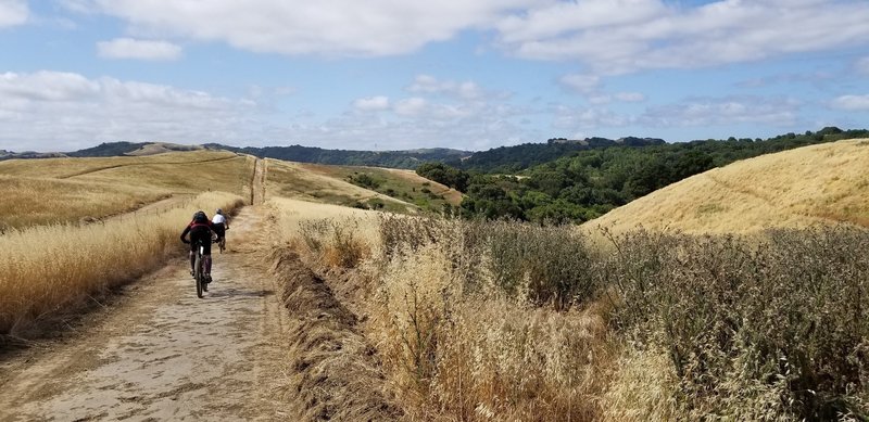 This is one straight trail along the fence line to the Tina Batt singletrack