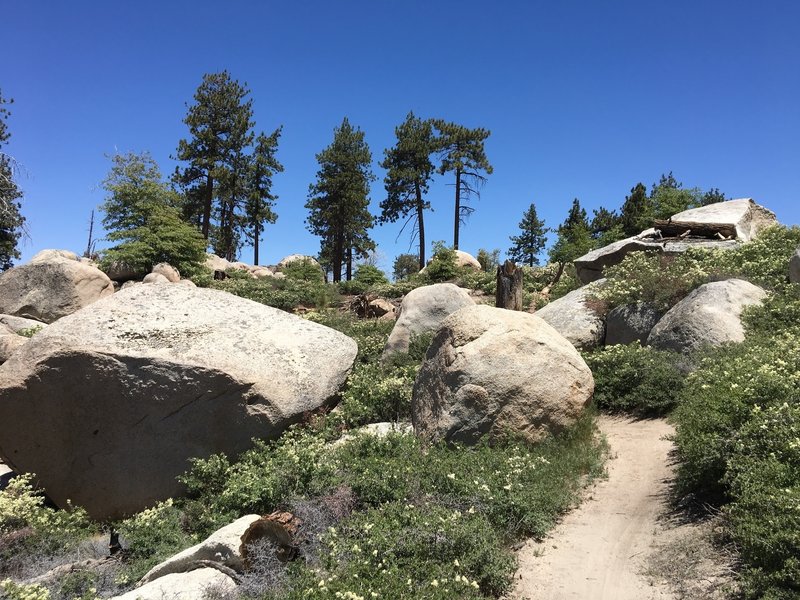 Hanna Flats boulders