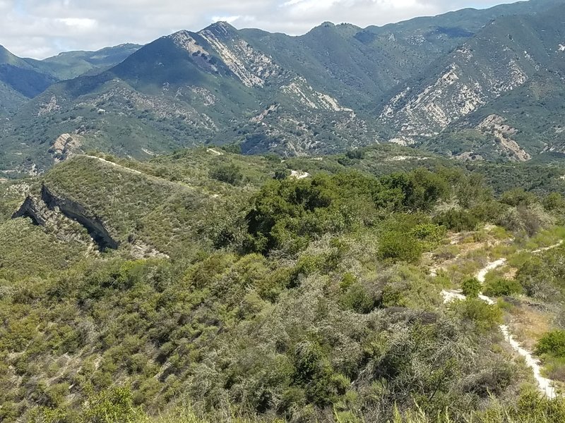 From the Bobcat Trail and High Ridge Trail, looking north going downhill.