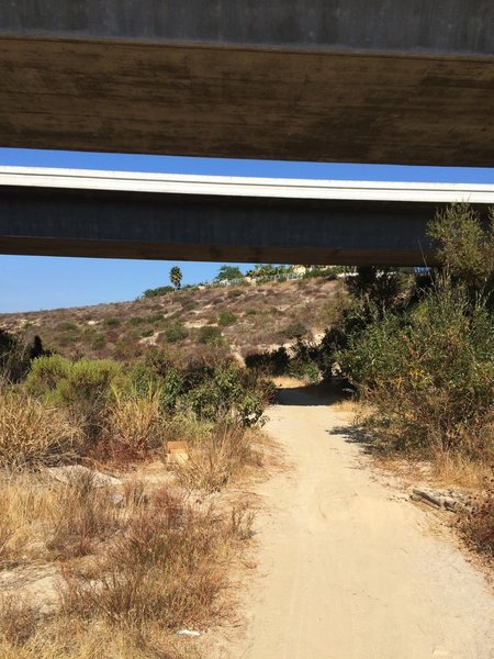 Del Mar Heights Rd underpass.