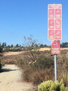 Gonzales canyon