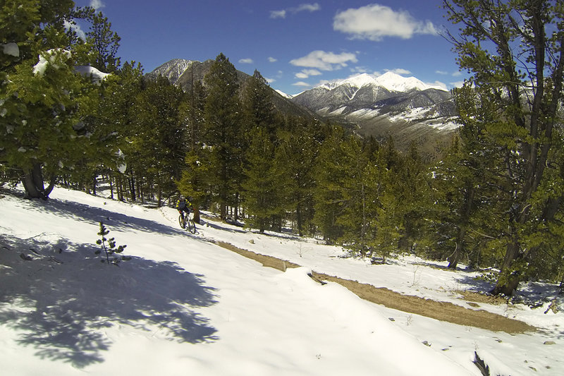 A bit early for this section of the Colorado Trail