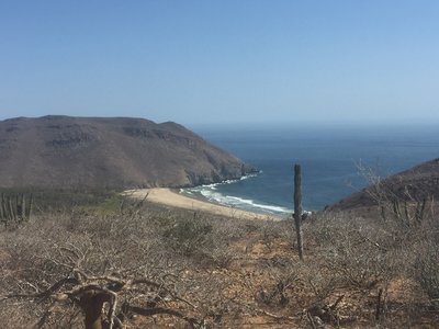 Looking down on Palm Beach