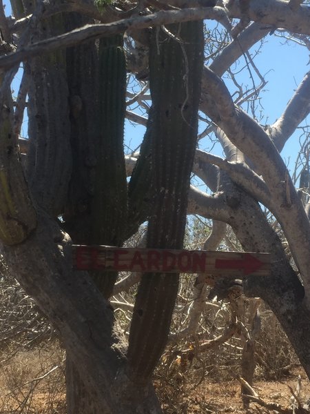 sign to the El Cardon trail