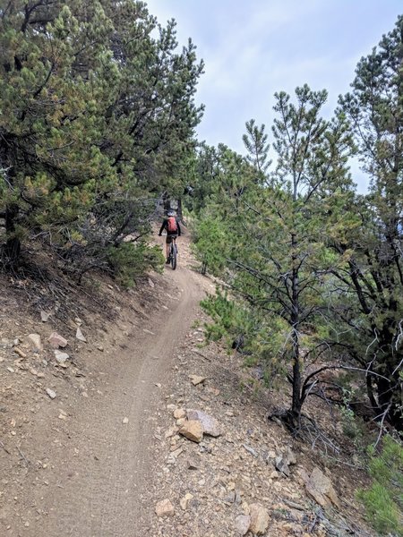 Ascending the upper portion of the Rainbow Trail