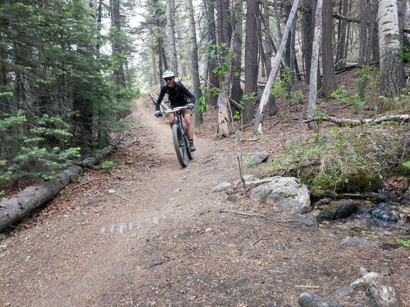 Descending Sand Gulch