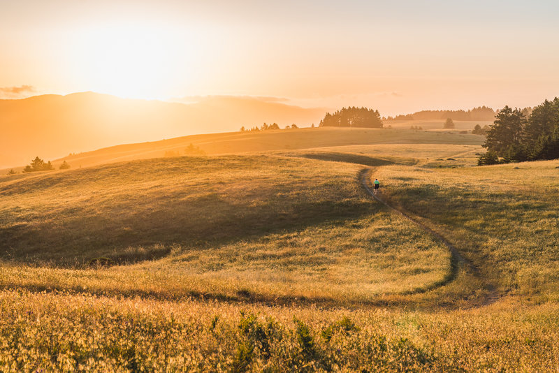 Alphawanderlust.com -Ride into the sunset- Bolinas Ridge