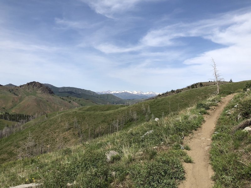 The climb up Imperial is rewarded with awesome views of the Pioneer Mountains