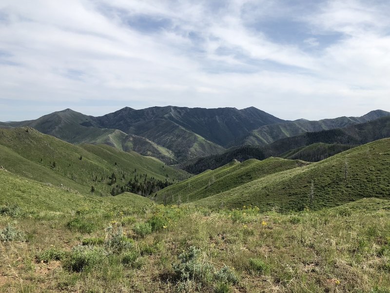 Saddle on Imperial trail looking into Deer Creek