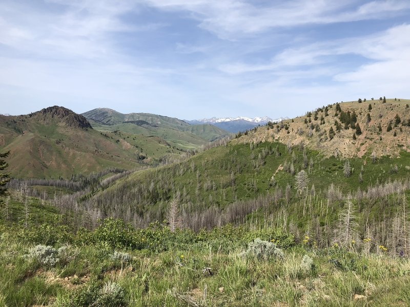 View of Mahoney Butte and the Pioneer mountains