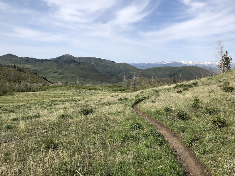 Meadow with killer views of Baldy and the Pioneer Mountains