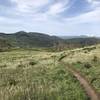 Meadow with killer views of Baldy and the Pioneer Mountains