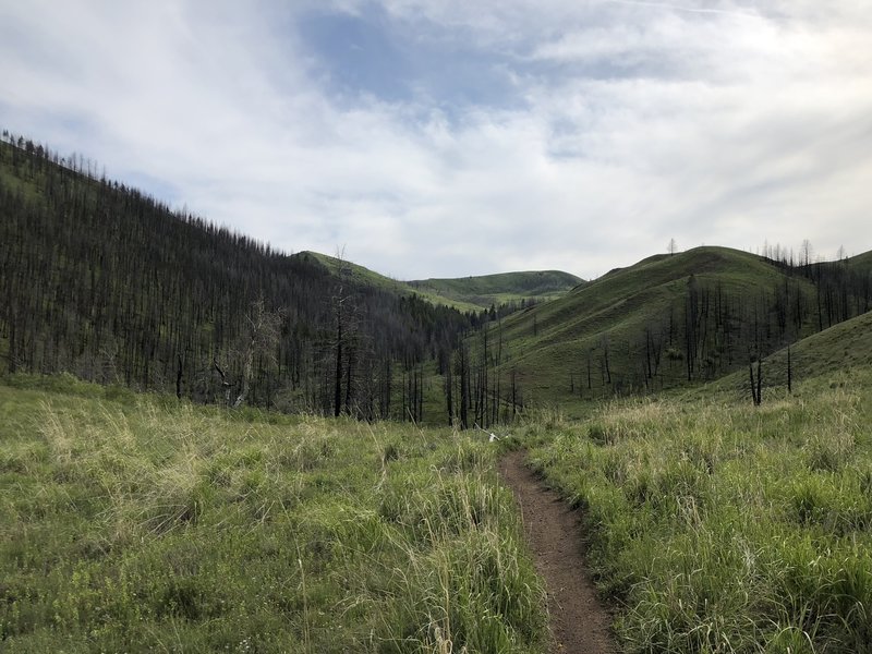 Looking up Imperial Gulch