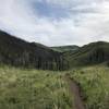 Looking up Imperial Gulch