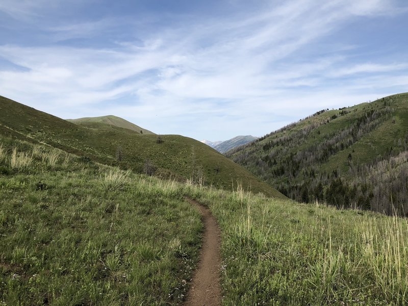 Climbing out of Imperial Gulch