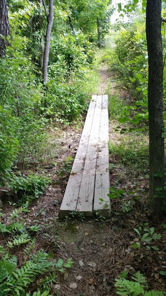 Simple wood bridge on TORC A Trail.