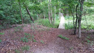 Boardwalk near the start of TORC B Trail.