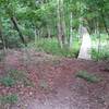 Boardwalk near the start of TORC B Trail.