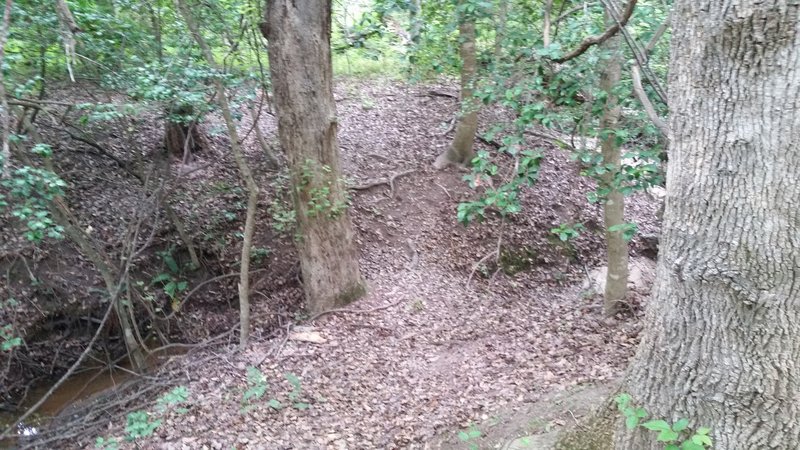 Tricky 'natural bridge' on TORC B Trail. The drop is steeper than it looks in the picture.