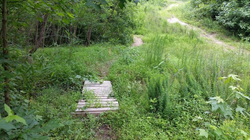 Small bridge on Troy Woods Main Trail.