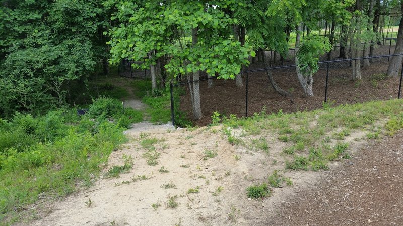 The entrance to Straight Nature Trail is to the left side of the Dog Park fence.