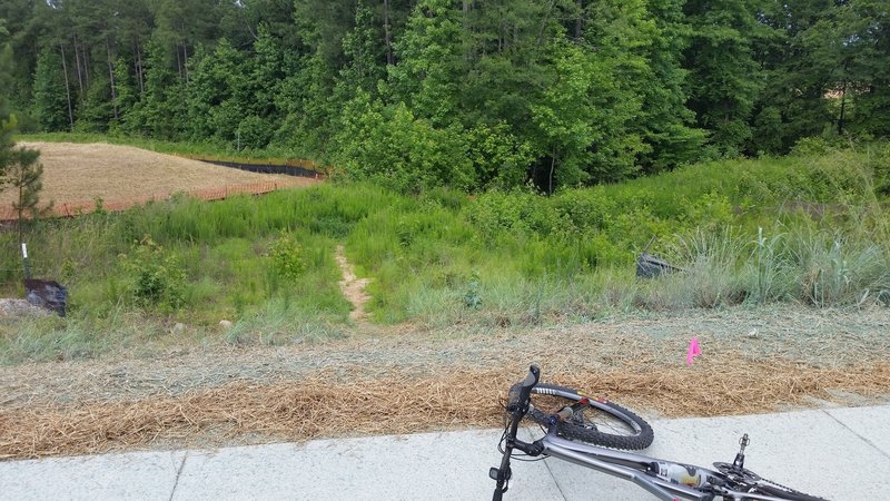 Entrance to Turtle Shell #2 Trail.