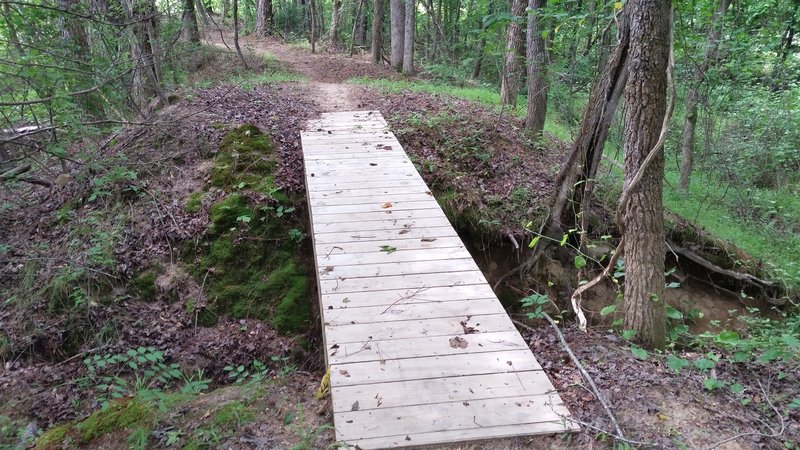 Bridge on Turtle Shell #2 Trail.