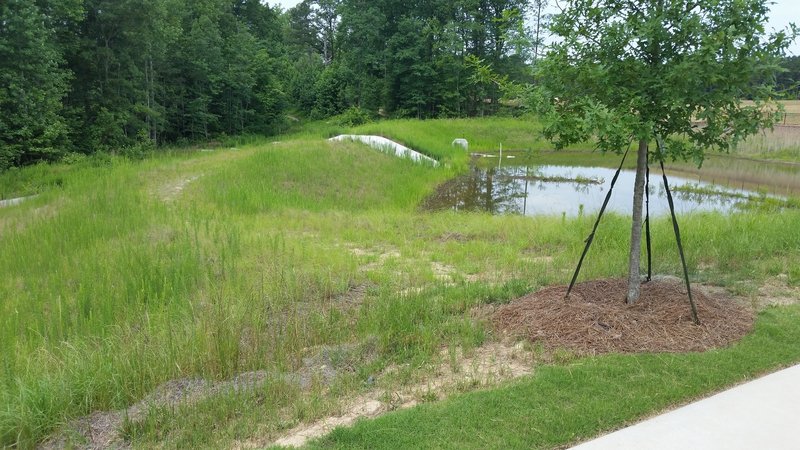 The exit of Turtle Shell #2 Trail comes across the retention pond dam to the road.