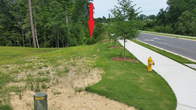 Entrance to School Trail. Ride across the grass to reach it.