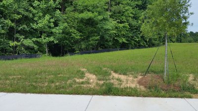 Exit of the School Trail, through the gap in the silt fence.