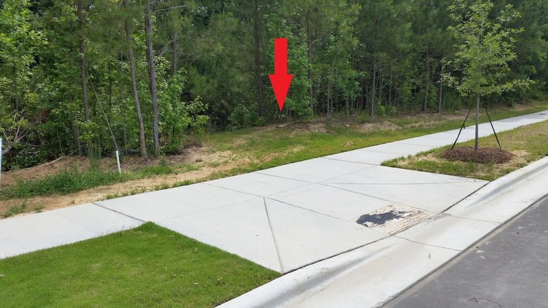 The entrance to the Back Of Lots Trail is right behind the sidewalk ramp.