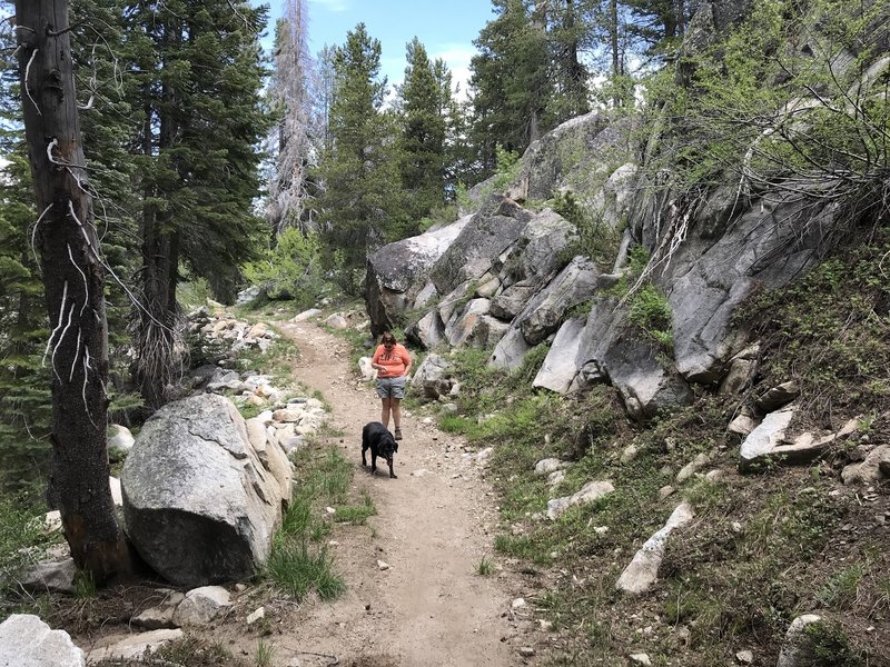 Keep your eyes open for hikers with dogs, share the trail use your bike bell often and early.