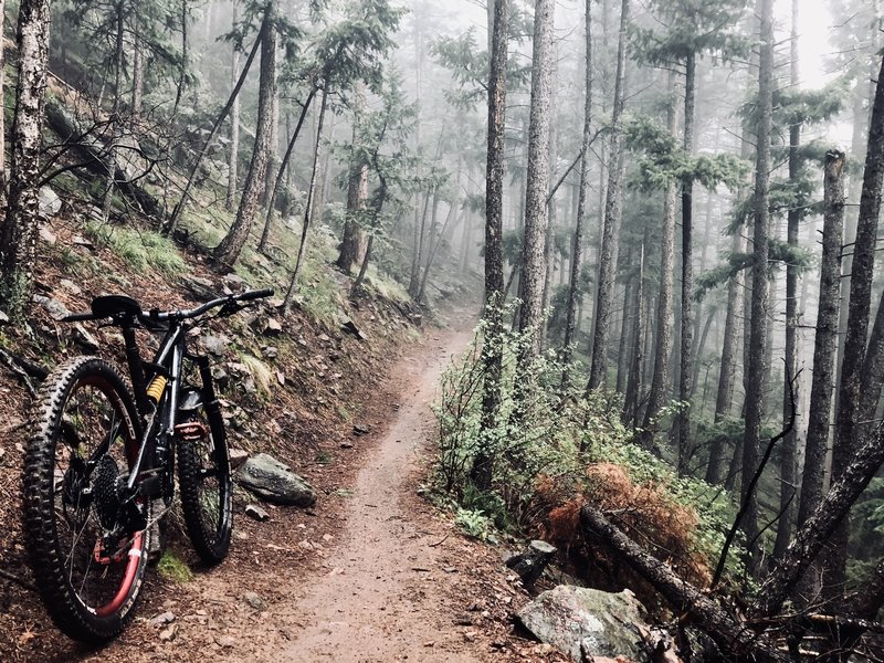 Recently the descent down Plymouth Mountain was quite eerie...