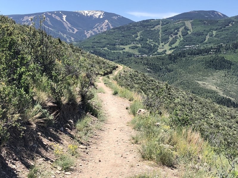 Great views of Beaver Creek from the Our Backyard trail