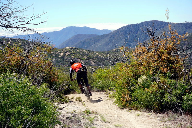 Silver Moccasin Tr between Christian Camp and Three Points is beautiful and fun, if often overlooked, out-and-back section of trail.