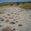 Purgatory Canyon dinosaur tracks