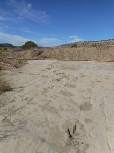 Apatosaurus trackway on northside of river