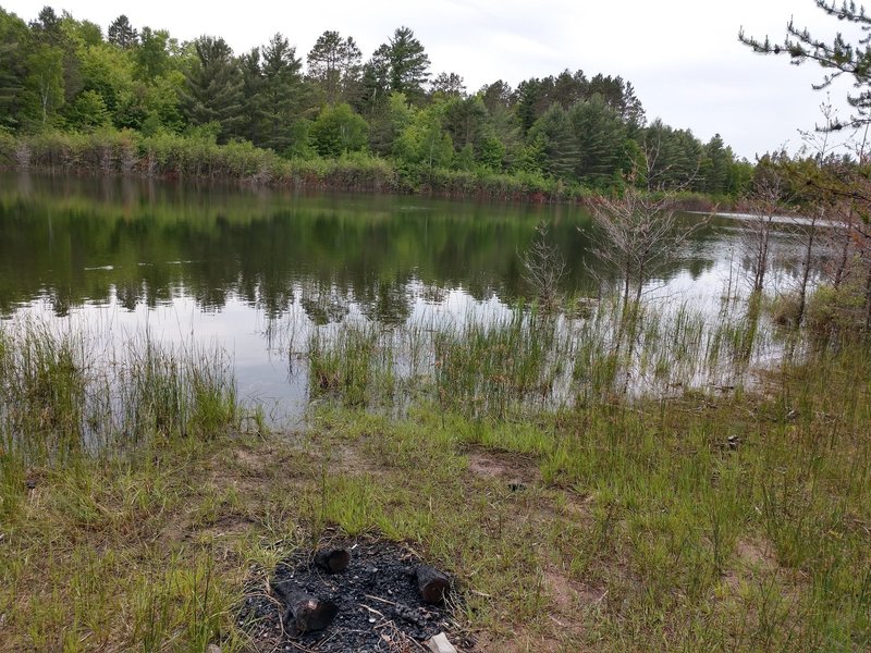 Primitive campsite along the trail