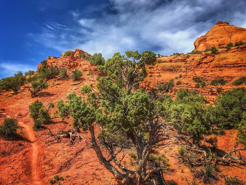 Heading north from the Dino Tracks trailhead.