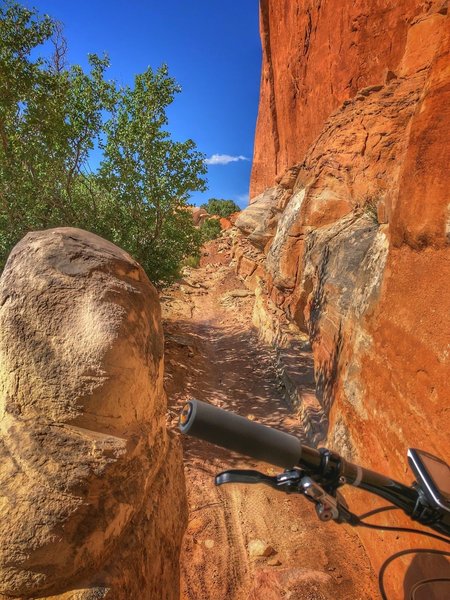 Climbing back up to the Dino Tracks trailhead.