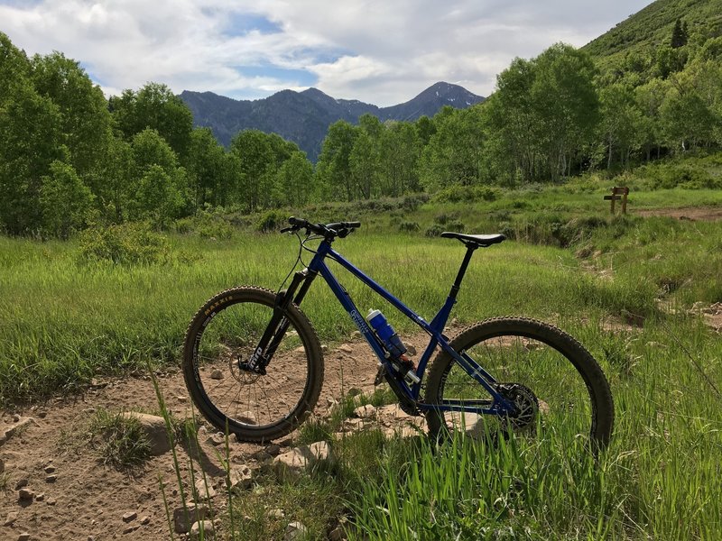 The upper section of the Mill Canyon trail is great for climbing