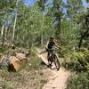 Exiting the aspen tunnel into the final loose right-hander