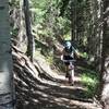 Enjoy the shade, love the singletrack