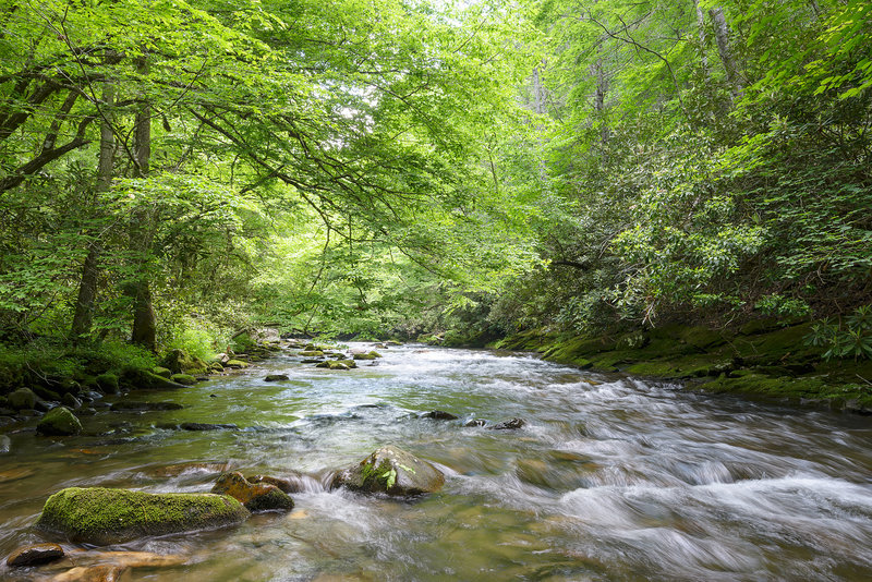 Deep Creek, Great Smoky Mountains NP.