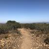 Top of Ridgeline Trail. Almost 1300 ft.