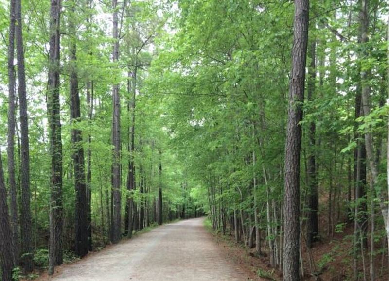 American Tobacco Trail