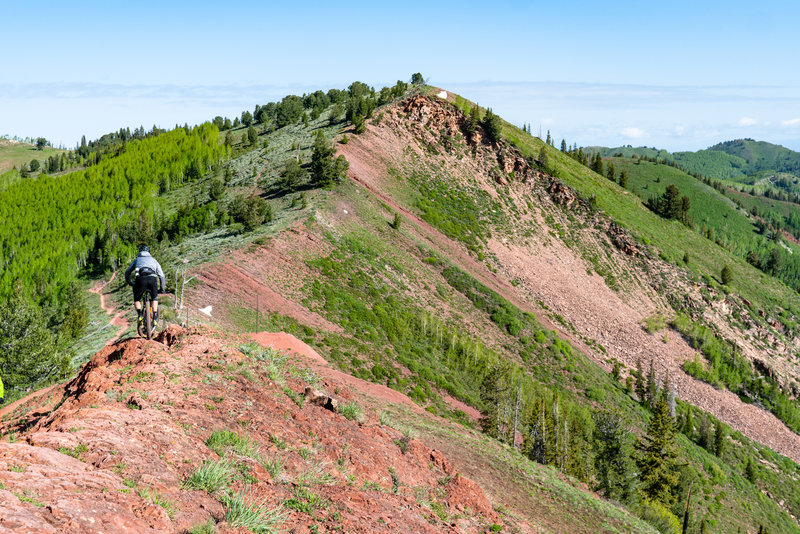 The balancing act on top of the spine section of the Wasatch Crest Trail. Photo by Mike Swim // mikezswim.com