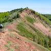 The balancing act on top of the spine section of the Wasatch Crest Trail. Photo by Mike Swim // mikezswim.com